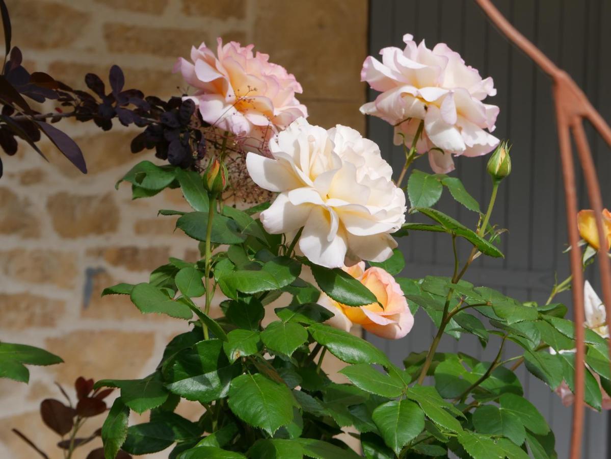 La Bastide Du Murier 科蒂尼亚克 外观 照片